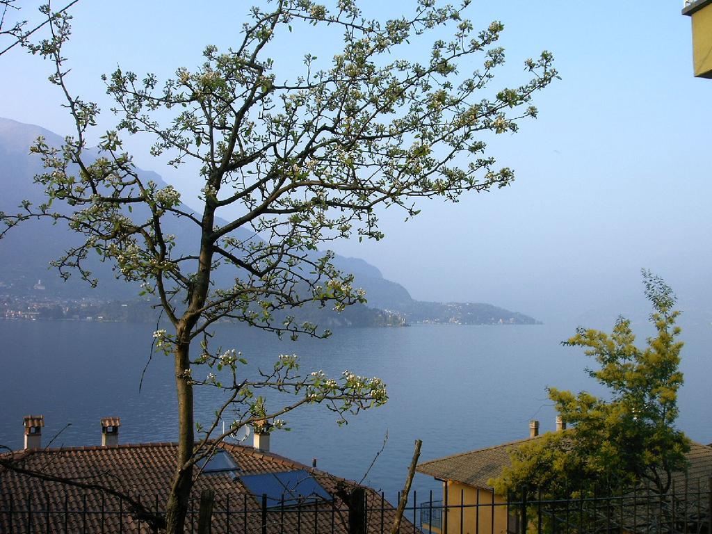 B&B Sosta Sul Lago Lezzeno Bagian luar foto