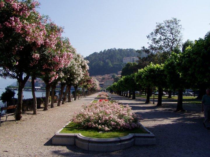 B&B Sosta Sul Lago Lezzeno Bagian luar foto